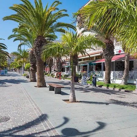 Modern Cristianos Center Los Cristianos (Tenerife)